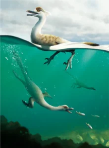 Swimming hunting dinosaur Natovenator polydontus (Image source: Lee et al. 2022, Commun. Biol.)